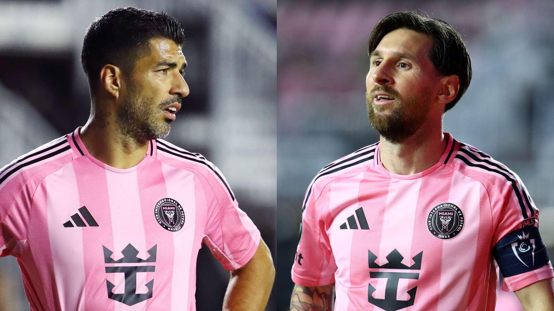 吸引了越来 吸引了越来